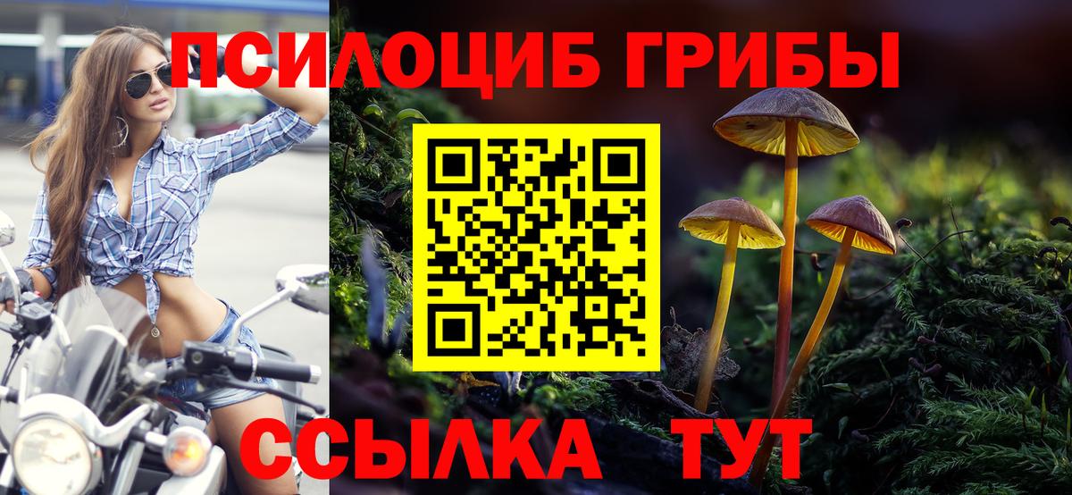 Галлюциногенные грибы MAGIC MUSHROOMS  Псилоцибиновые грибы Cubensis  цены   Балашиха  Вход с VPN 