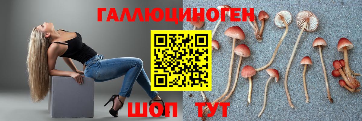 Галлюциногенные грибы ЛСД Балашиха